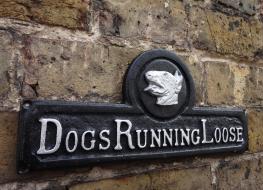 Dogs running loose sign